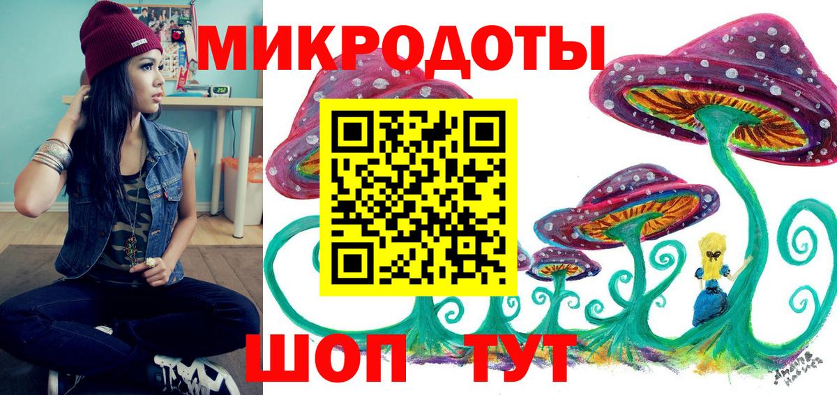 Галлюциногенные грибы Psilocybe Орёл